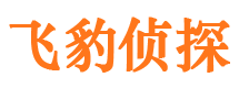 安庆市私家侦探